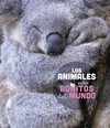 LOS ANIMALES MÁS BONITOS DEL MUNDO (FOTOS