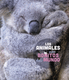 LOS ANIMALES MS BONITOS DEL MUNDO (FOTOS