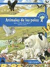 N. 2 ANIMALES DE LOS POLOS