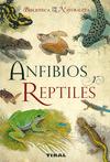 ANFIBIOS Y REPTILES